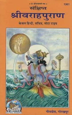 51tt+xLFaWL._AC_UF1000,1000_QL80_